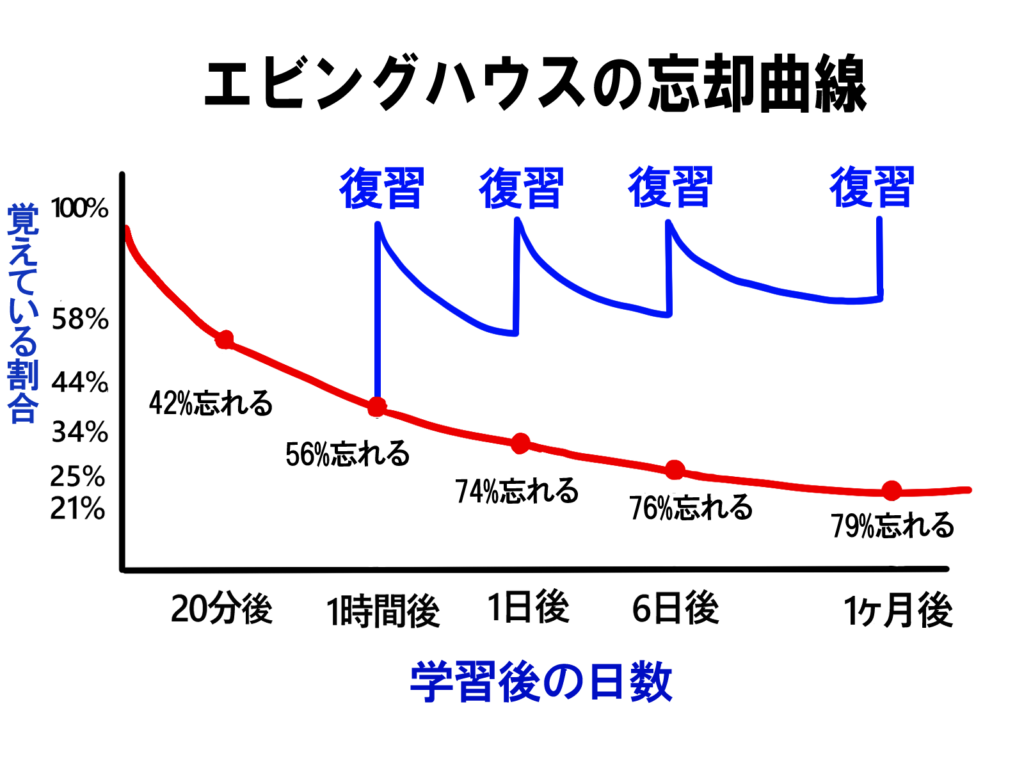 エビングハウスの忘却曲線